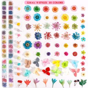 324PCS Dried Flowers Nail Art - Nail Art Accessories Kits, 81 Color Lovely Natural Nail Art, Dried Flowers for Resin Molds, Dry Flowers for Nails, YWLI