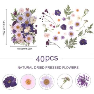 40Pcs Natural Pressed Dried Flowers Resin, Dry Flowers for Resin Accessories with Tweezer, Dried Flower for Scrapbooking DIY Art Crafts, Epoxy Resin Jewelry Molds, Candle, Nails Décor, Craft Making