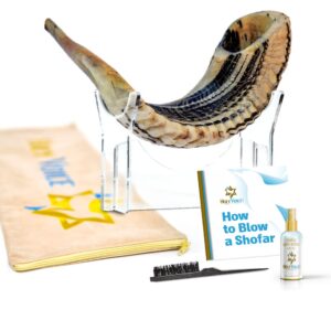 Handcrafted Kosher Ram Shofar from Israel, 20"-22" – Musical Horn, Cleaning Brush, Anti Odor Spray, shofar stand & Shofar Bag – Decorative, Jewish Gifts for Women & Men by Holy Voice