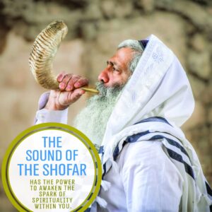 Handcrafted Kosher Ram Shofar from Israel, 20"-22" – Musical Horn, Cleaning Brush, Anti Odor Spray, shofar stand & Shofar Bag – Decorative, Jewish Gifts for Women & Men by Holy Voice