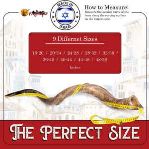 ProShofar Israel Shofar Set, Natural Kudu Horn Shofar, Kosher Shofar Yemenite Traditional Musical Instrument for Jewish Spiritual Ceremonies and Religious Sermons, Made in Israel