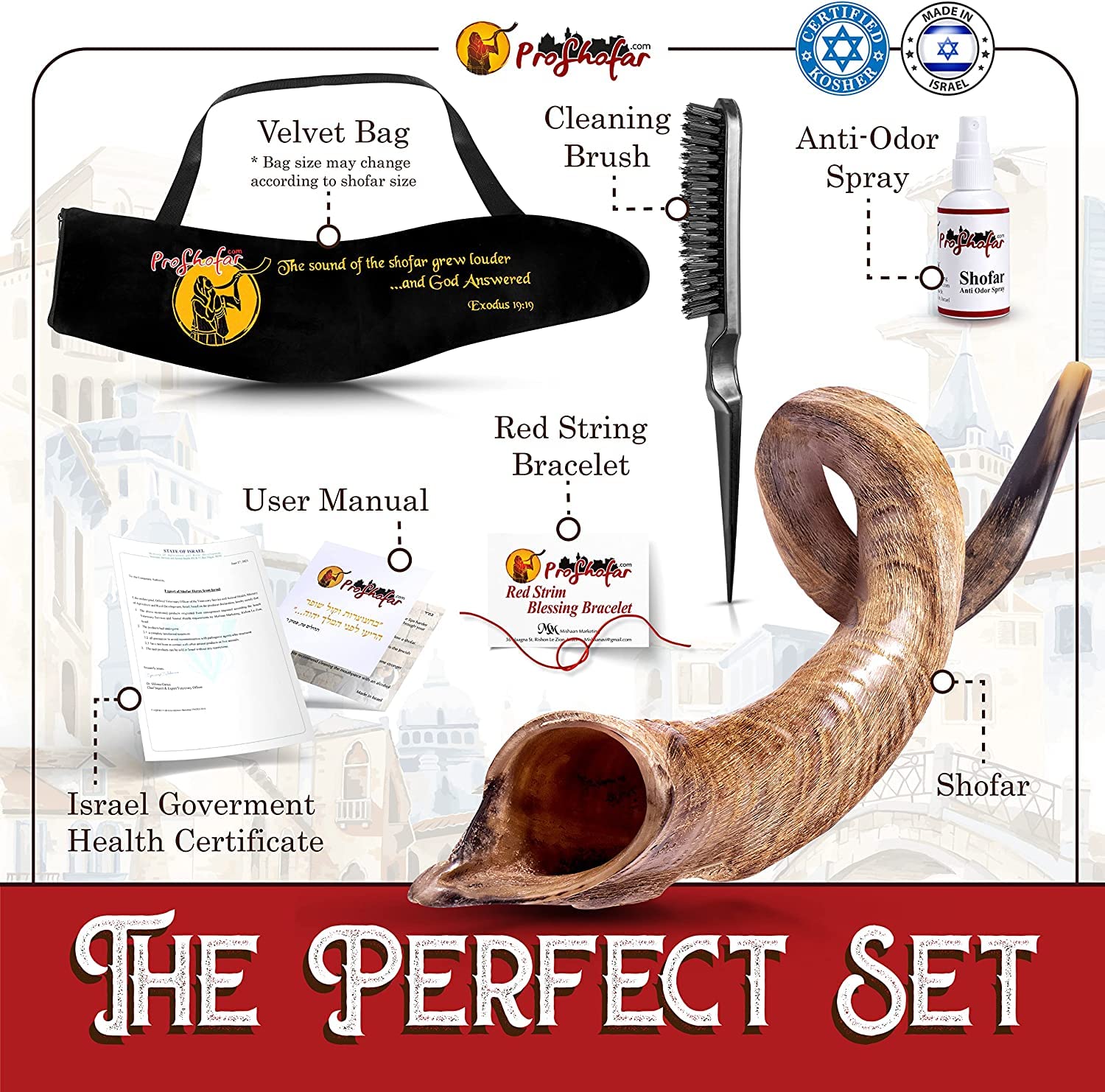 ProShofar Israel Shofar Set, Natural Kudu Horn Shofar, Kosher Shofar Yemenite Traditional Musical Instrument for Jewish Spiritual Ceremonies and Religious Sermons, Made in Israel