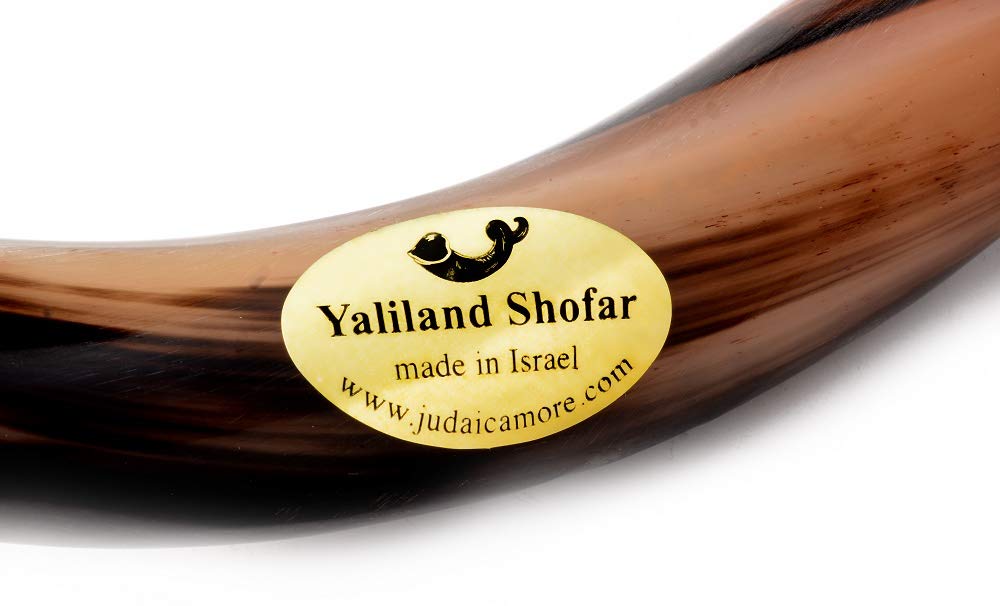 SHOFAR 36-38" Extra Large Yemenite Kudu Horn Full Polished + Anti Odor Spray + Brush + BAG From Israel