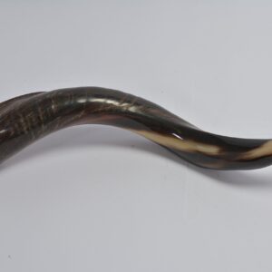 Sale Shofars Kosher Yemenite Kudu Horn Half Polished Shofar Size 20"-24", Includes Shofar Odor Spray and Comprehensive Shofar Blowing Guide From Israel