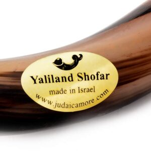 Yaliland Shofar Horn Musical Instrument - Kosher Kudu Ram Horns from Israel - Includes Bag, Book Guide, Anti-Odor Spray, 3 Brushes - Use for Religious Ceremonies - 24"-26", Half Polished-Half Natural