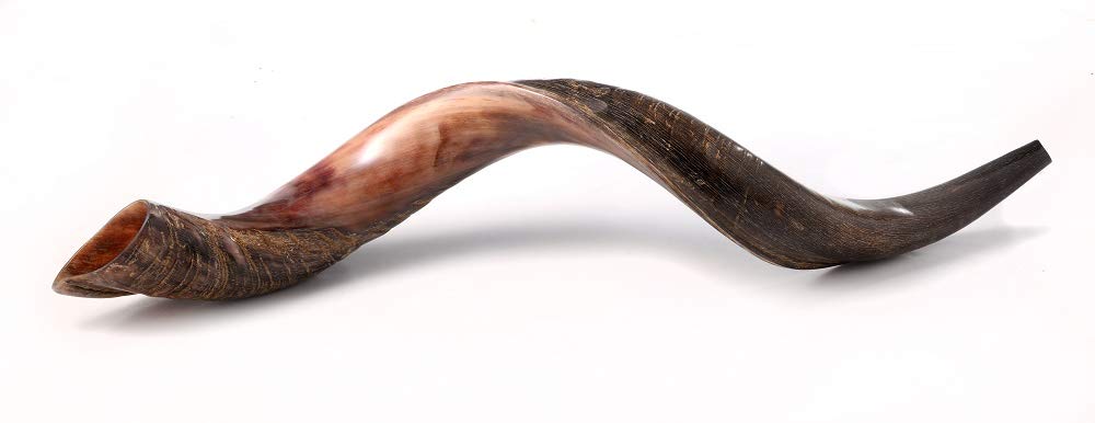 Yaliland Shofar Horn Musical Instrument - Kosher Kudu Ram Horns from Israel - Includes Bag, Book Guide, Anti-Odor Spray, 3 Brushes - Use for Religious Ceremonies - 24"-26", Half Polished-Half Natural