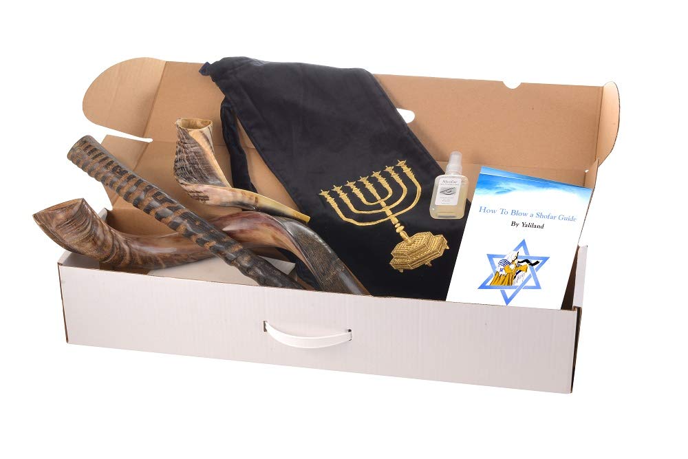 Shofar from Israel Set of 3 Horn : Kudu, Oryx, Ram + Bag + spray + Guide + Carrying case