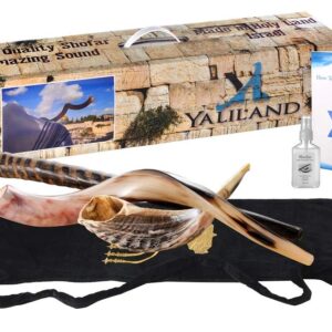 Shofar from Israel Set of 3 Horn : Kudu, Oryx, Ram + Bag + spray + Guide + Carrying case