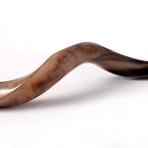 Sale 30" Large Yemenite Kudu Horn Polished Shofar Shofars with Free Anti Odor Spray, guide Shofar from Israel