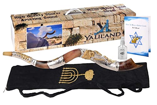 Shofar from Israel Polish Polished Silver Plated Set Kudu Horn Yemenite Lion Of Judah + Bag + Spray + Guide + Carrying Box Case (30"-32")