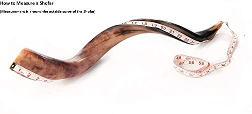 Shofar from Israel Polish Polished Silver Plated Set Kudu Horn Yemenite Lion Of Judah + Bag + Spray + Guide + Carrying Box Case (30"-32")