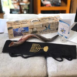 SHOFAR Set Half Polished Half Natural Kudu Horn Yemenite + Bag + Spray + Guide + Carrying Box Case (30"-32") From Israel