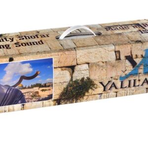 SHOFAR Set Half Polished Half Natural Kudu Horn Yemenite + Bag + Spray + Guide + Carrying Box Case (30"-32") From Israel