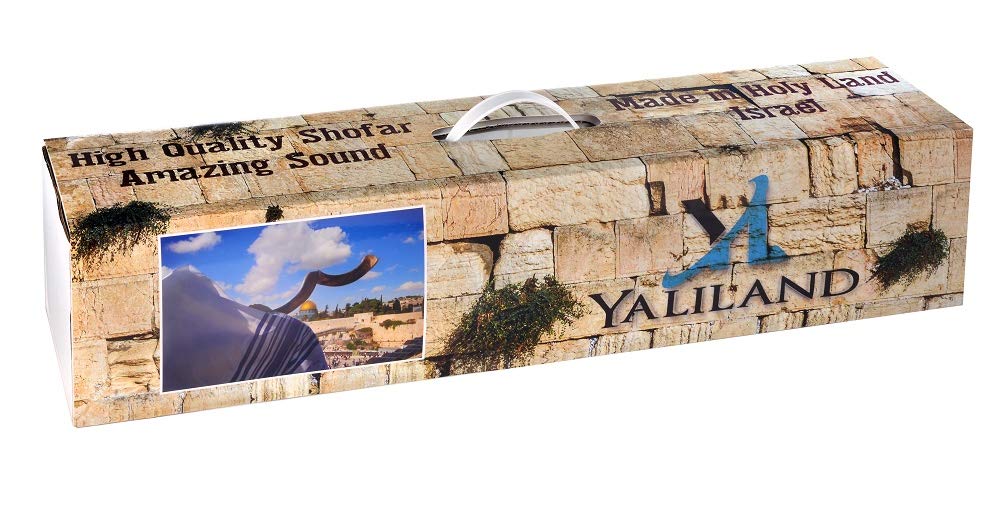 SHOFAR Set Half Polished Half Natural Kudu Horn Yemenite + Bag + Spray + Guide + Carrying Box Case (30"-32") From Israel