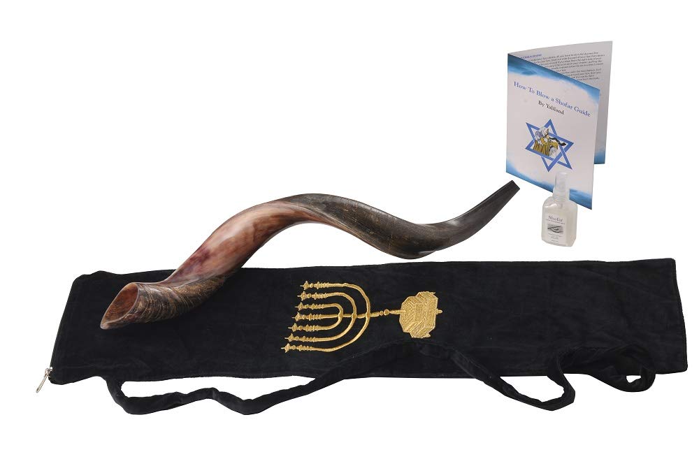 SHOFAR Set Half Polished Half Natural Kudu Horn Yemenite + Bag + Spray + Guide + Carrying Box Case (30"-32") From Israel