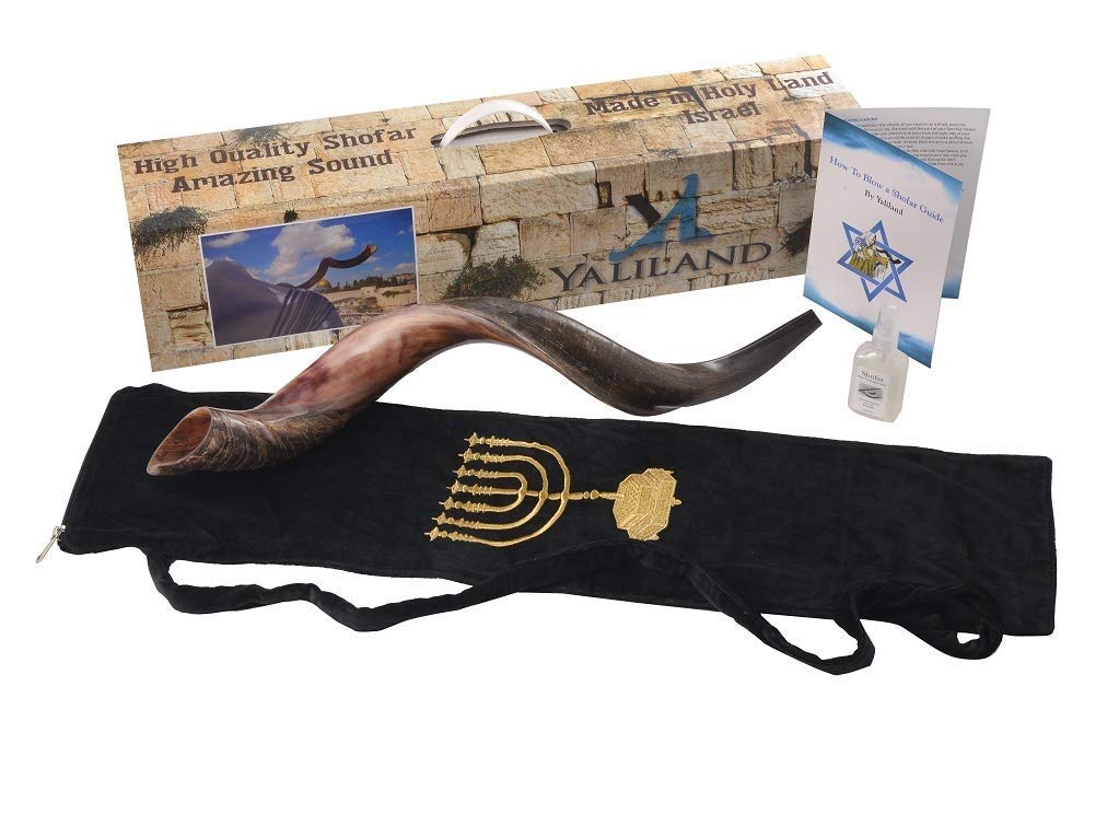 SHOFAR Set Half Polished Half Natural Kudu Horn Yemenite + Bag + Spray + Guide + Carrying Box Case (30"-32") From Israel