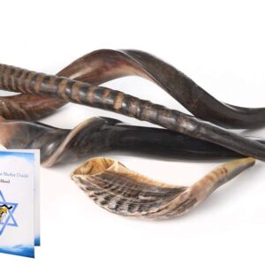 Sale 4 Shofars Kudu Yemenite, RAM, Gemsbok Oryex Horn, Eland Shofar Free Odor Neutralizer + Guide By Yaliland