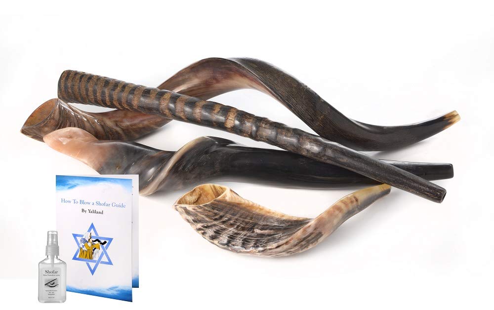 Sale 4 Shofars Kudu Yemenite, RAM, Gemsbok Oryex Horn, Eland Shofar Free Odor Neutralizer + Guide By Yaliland