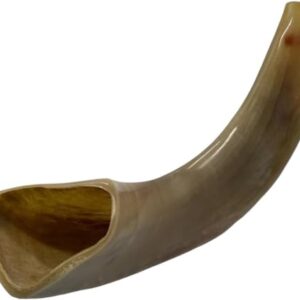 Authentic & Kosher Polished Ram's Horn Shofar from Israel (16" -18")