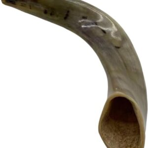 Authentic & Kosher Polished Ram's Horn Shofar from Israel (16" -18")