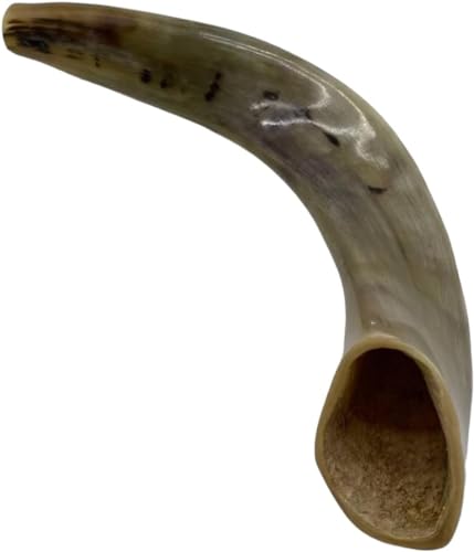 Authentic & Kosher Polished Ram's Horn Shofar from Israel (16" -18")