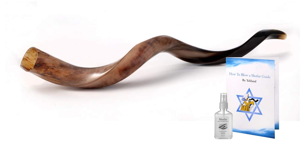 Sale 36" Extra Large Yemenite Kudu Horn Polished Shofar Shofars with Free Anti Odor Spray,Guide From Israel