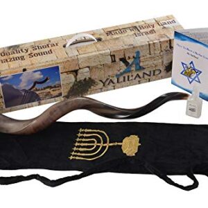 Shofar from Israel Set Full Polished Kudu Horn Yemenite + Bag + Spray + Guide + Carrying Box Case (28"-30")