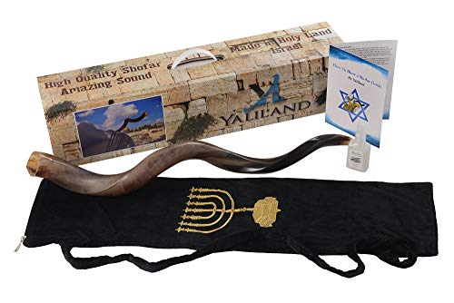 Shofar from Israel Set Full Polished Kudu Horn Yemenite + Bag + Spray + Guide + Carrying Box Case (28"-30")