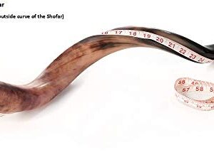 Shofar from Israel Set Full Polished Kudu Horn Yemenite + Bag + Spray + Guide + Carrying Box Case (28"-30")