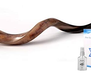 Shofar from Israel Set Full Polished Kudu Horn Yemenite + Bag + Spray + Guide + Carrying Box Case (28"-30")