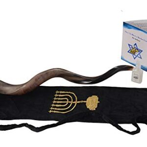 Shofar from Israel Set Full Polished Kudu Horn Yemenite + Bag + Spray + Guide + Carrying Box Case (28"-30")