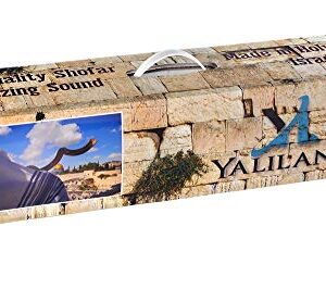 Shofar from Israel Set Full Polished Kudu Horn Yemenite + Bag + Spray + Guide + Carrying Box Case (28"-30")