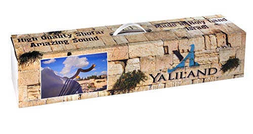 Shofar from Israel Set Full Polished Kudu Horn Yemenite + Bag + Spray + Guide + Carrying Box Case (28"-30")