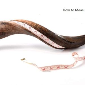 SHOFAR Full Natural Kosher Kudu Horn 40''-42" + Bag + Guide + Spray by Yaliland