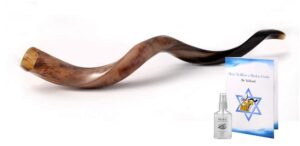 sale 28" extra large yemenite kudu horn polished shofar shofars with free anti odor spray, shofar from israel