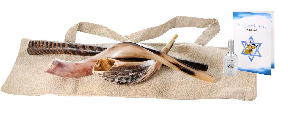 Sale 3 Shofars Kudu Yemenite RAM Gemsbok Oryex Horn Shofar + Odor Neutralizer + Guide By Yaliland