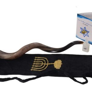 SHOFAR Full Polished Kosher Kudu Horn 40''-42" + Bag + Guide + Spray by Yaliland