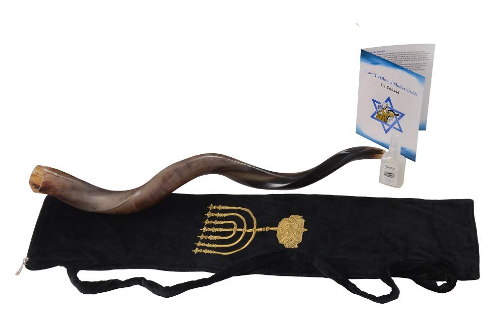 SHOFAR Full Polished Kosher Kudu Horn 40''-42" + Bag + Guide + Spray by Yaliland