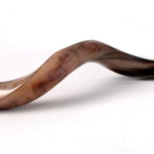 SHOFAR Full Polished Kosher Kudu Horn 40''-42" + Bag + Guide + Spray by Yaliland