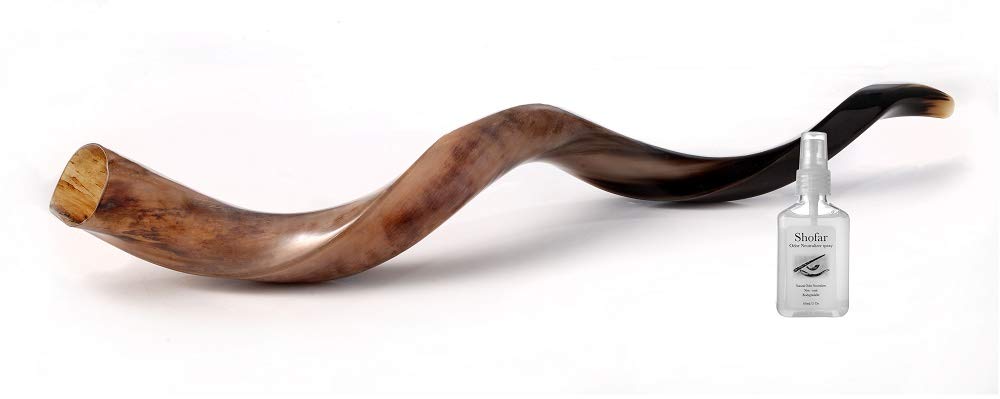 SHOFAR Full Polished Kosher Kudu Horn 40''-42" + Bag + Guide + Spray by Yaliland