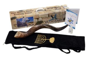 shofar set full natural kudu horn yemenite + bag + guide + carrying box case (26"-28") ship from israel