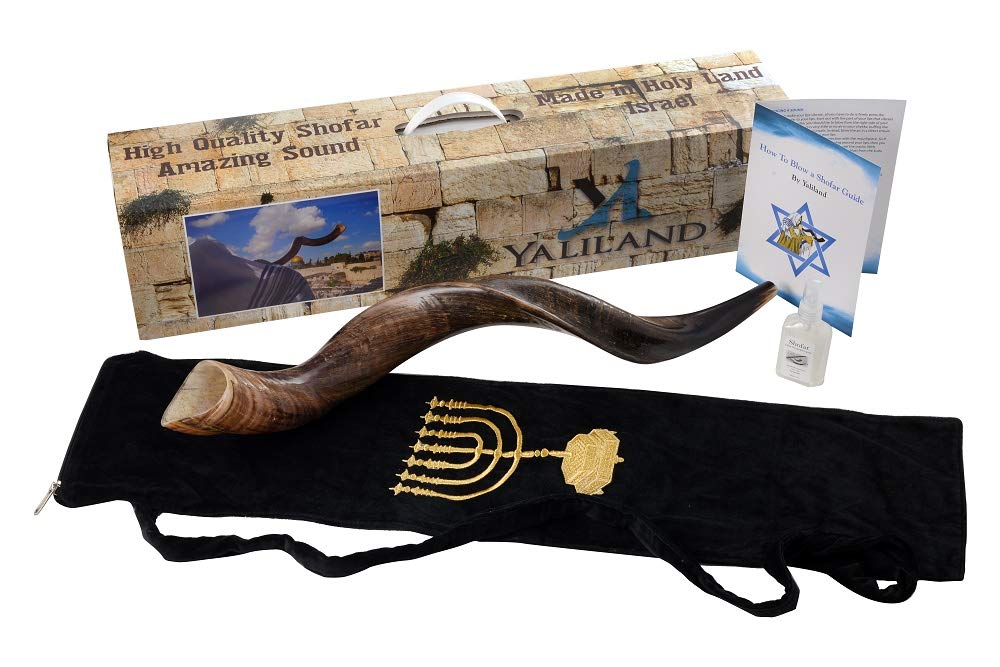 SHOFAR Set FULL Natural Kudu Horn Yemenite + Bag + Guide + Carrying Box Case (26"-28") Ship from Israel