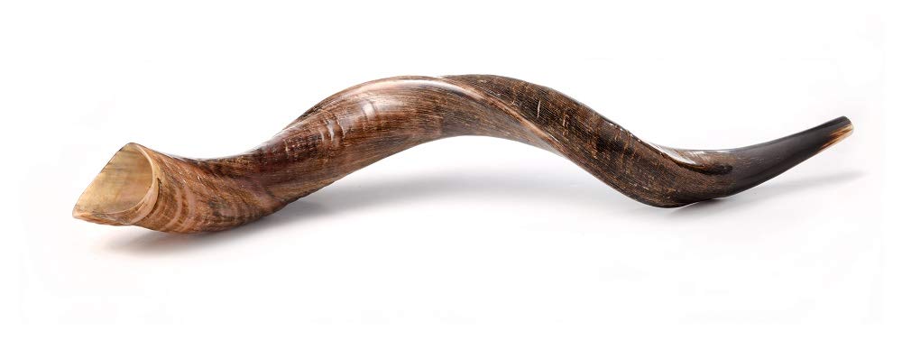 SHOFAR Set FULL Natural Kudu Horn Yemenite + Bag + Guide + Carrying Box Case (26"-28") Ship from Israel