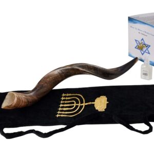 SHOFAR Set FULL Natural Kudu Horn Yemenite + Bag + Guide + Carrying Box Case (26"-28") Ship from Israel