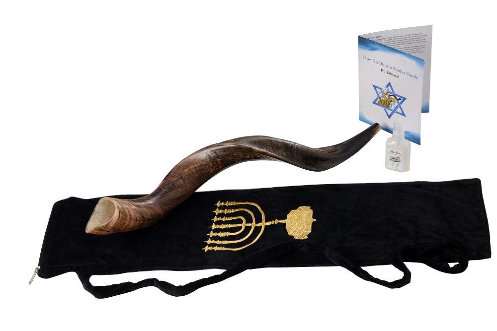 SHOFAR Set FULL Natural Kudu Horn Yemenite + Bag + Guide + Carrying Box Case (26"-28") Ship from Israel