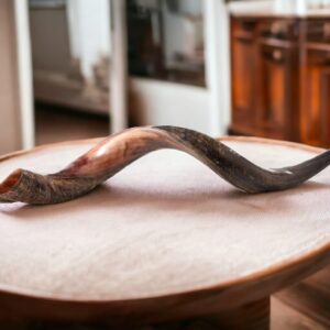 40"- 42" Extra Large Yemenite Kudu Horn Half Polished Finish and Half Natural Shofar, with Free Anti Odor Spray and Bag, Made in Israel