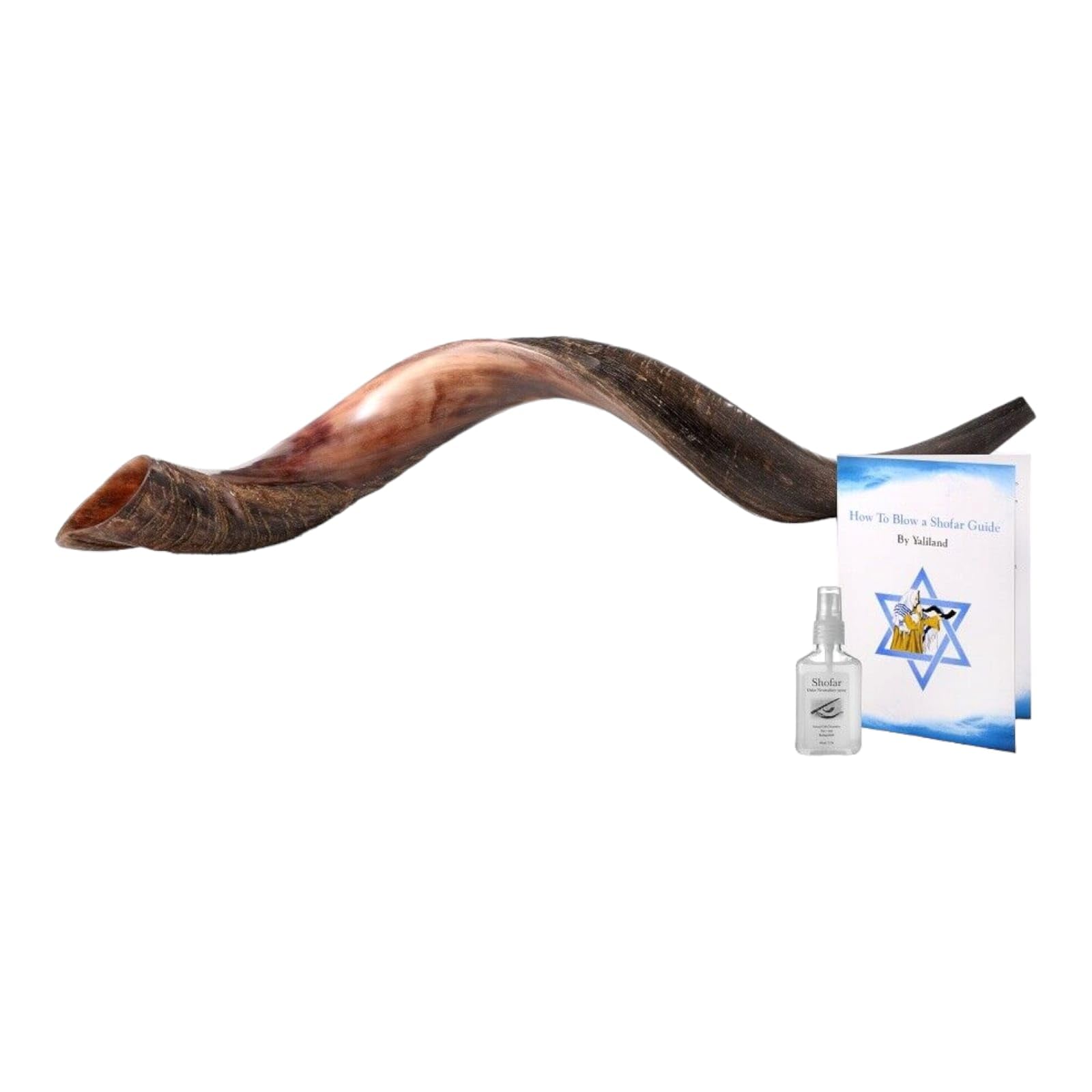 40"- 42" Extra Large Yemenite Kudu Horn Half Polished Finish and Half Natural Shofar, with Free Anti Odor Spray and Bag, Made in Israel