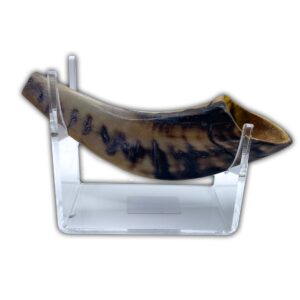 Real shofar small (No Hechsher) Perfect for kids that want the a real shofar. (2 SHOFARS ON BOX)