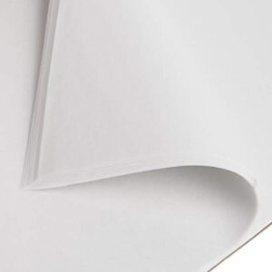 Strathmore 300 Series Tracing Paper Pad, Tape Bound, 14x17 inches, 50 Sheets (25lb/41g) - Artist Paper for Adults and Students