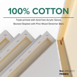 GenCrafts Stretched White Rectangular Canvas Multi Pack - 5x7, 8x10, 9x12, 11x14 (2 of Each) Set of 8 - Triple Primed - 100% Cotton - for Acrylic, Oil, Other Wet or Dry Art Media - Artists Grade